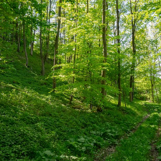 Drachenholl-Diemelaue