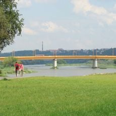 Ponte Petras Vileišis