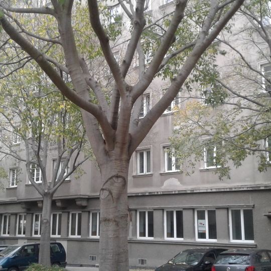 Wohnhausanlage Hainburger Straße 57+61