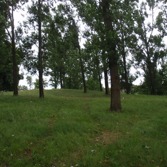 Cmentarz żydowski w Gniewoszowie-Granicy