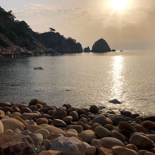 Platja de Cala d'en Bosch