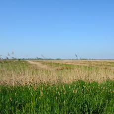 Lundener Niederung westlich des Umleitungsvorfluters