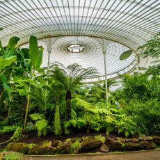 Kibble Palace