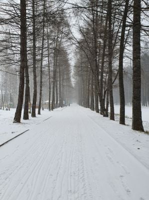 Winter 1
