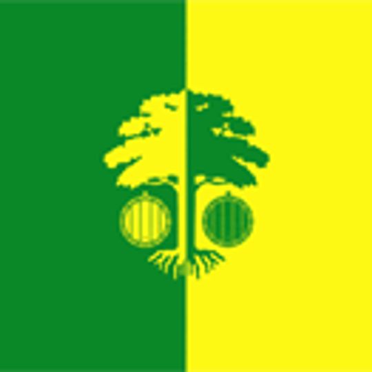 Distrito de Strășeni