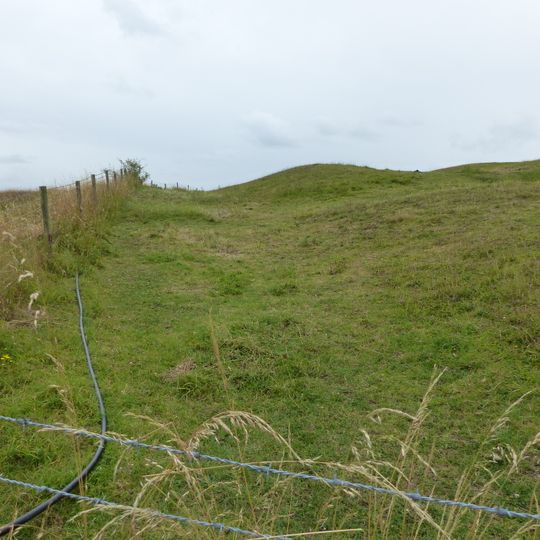 Causewayed camp on Hambledon Hill