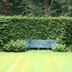 De Wiersse: houten halfronde bank