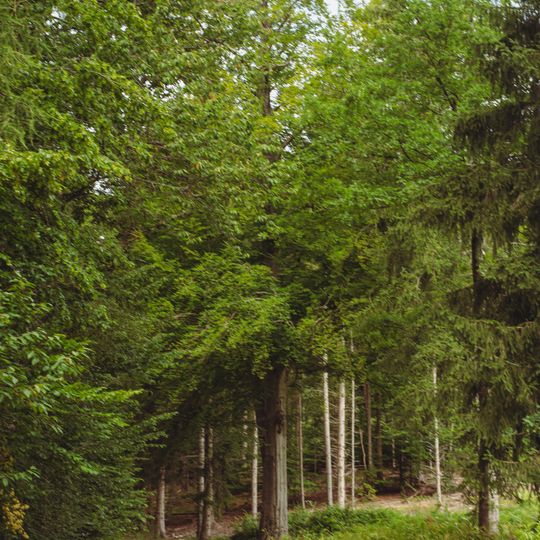 Frohnsbachtal - Geissbachtal