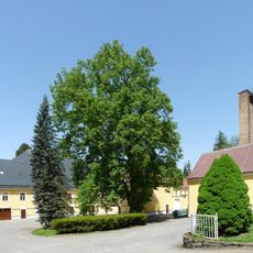 Zámecká lípa v Černovicích