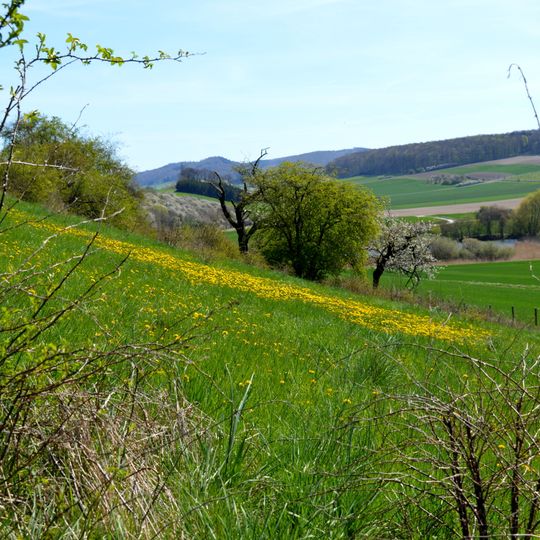 Röderhofer Teiche und Egenstedter Forst