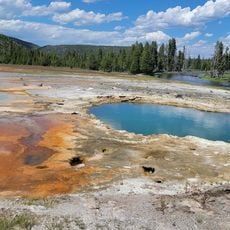 Biscuit Basin Geyser