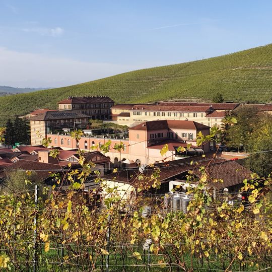 Il bosco dei pensieri