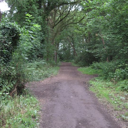 Warburton's Wood Nature Reserve