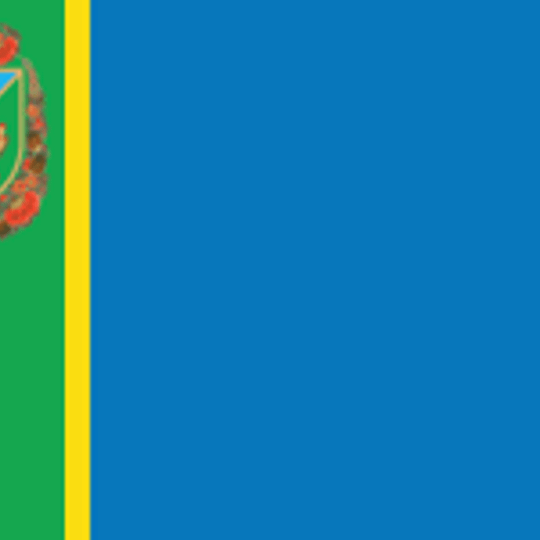 Distretto di Petrykivka