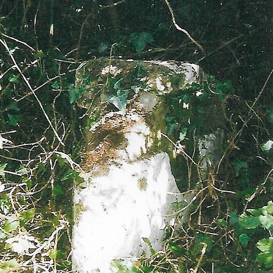Milestone, S of Watery Lane