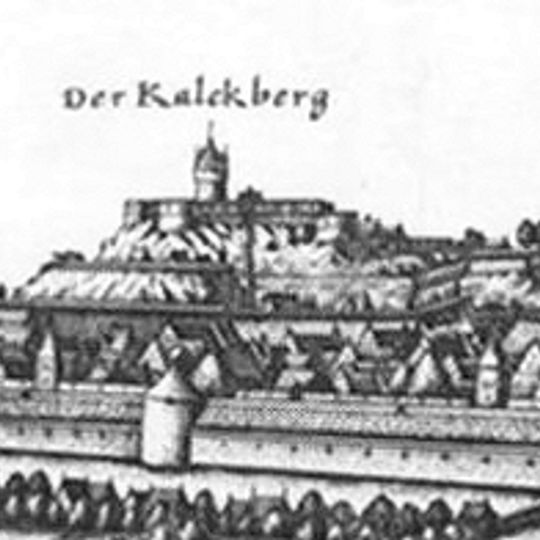 Burg Lüneburg