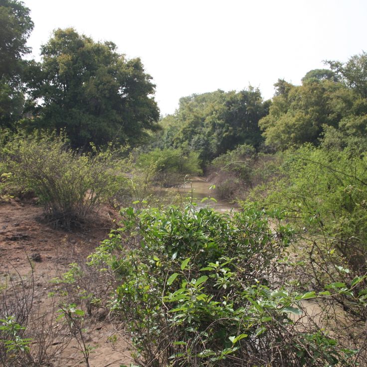 Parco nazionale Kaboré-Tambi