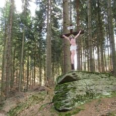 Dřevěný kříž u Žárové v lese