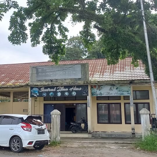 Gallery Sentral Ikan Hias