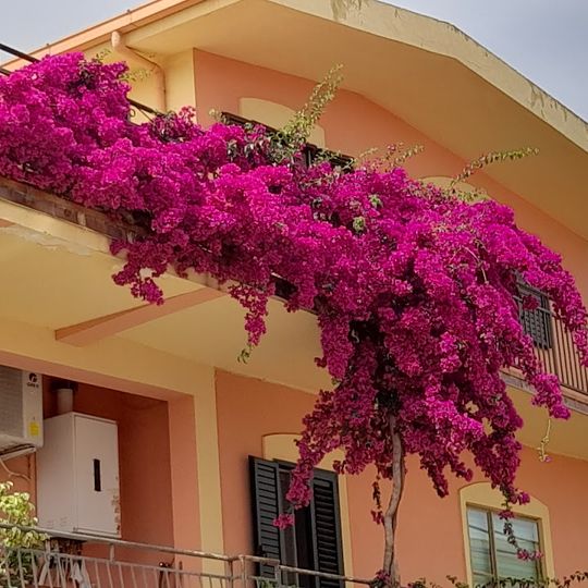 Camping Cavallo Bianco