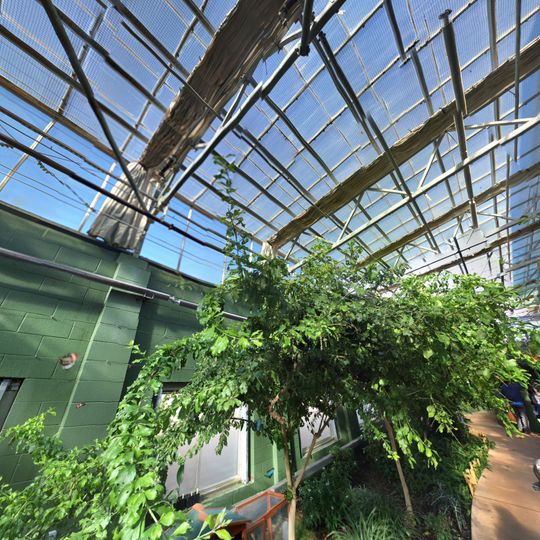 Butterfly Wonderland