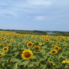 Badger Creek State Recreation Area