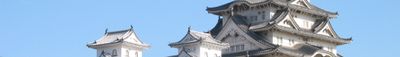 파노라마 뷰 0