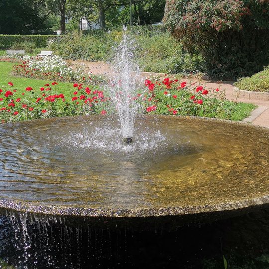 Brunnenschale im Rosengarten