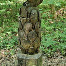 Eichhörnchen