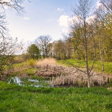 Feuchtbiotop am Marstadter See Beim Jungholz