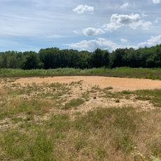 Lande tourbeuse des Oignons