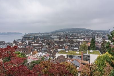 The view 1