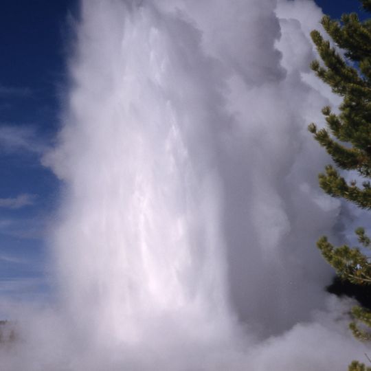 Giant Geyser