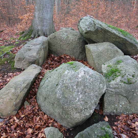 Großsteingrab Stegelitz 2