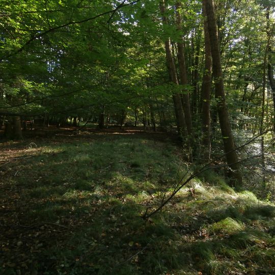 Pozůstatky dehtářských pecí