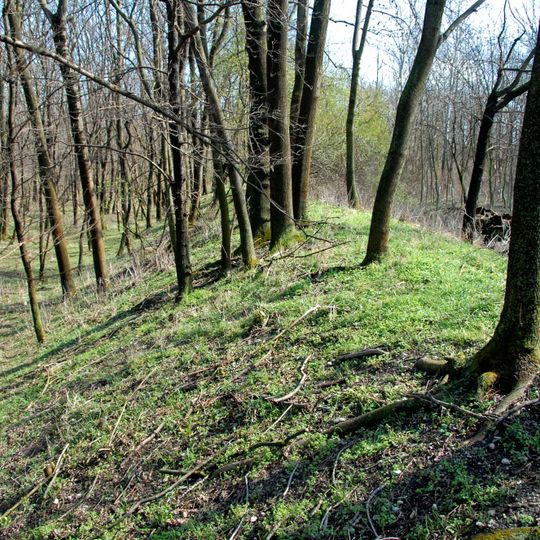 Wiener Neustädter Kanal