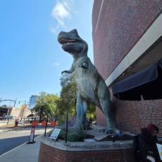 T. Rex