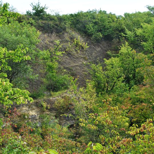 Ehem. Muschelkalkbruch SW von Krautheim