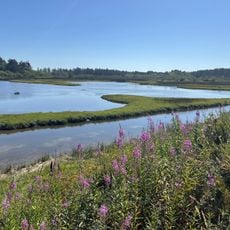 Sitka Sedge State Natural Area