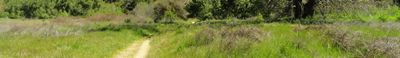 Panoramic View 1