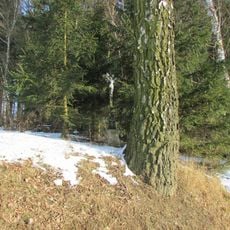 Kříž východně od Putimova u lesíka