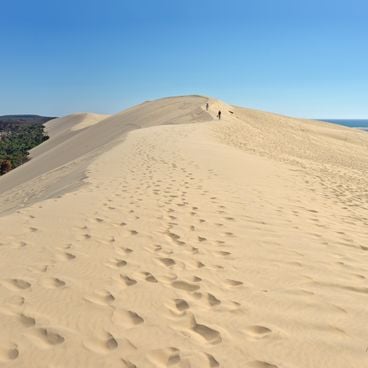 Arcachon e sua duna lendária: percurso entre cabanas de madeira e praias preservadas