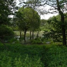 Božkovské jezírko