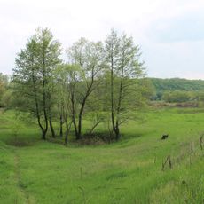 Lozovenkivskyi Reserve