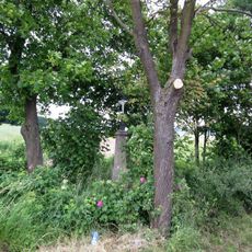 Kříž jihovýchodně od Počapel