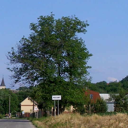 Medzany