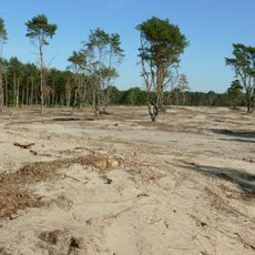 Holmer Sandberge und Moorbereiche
