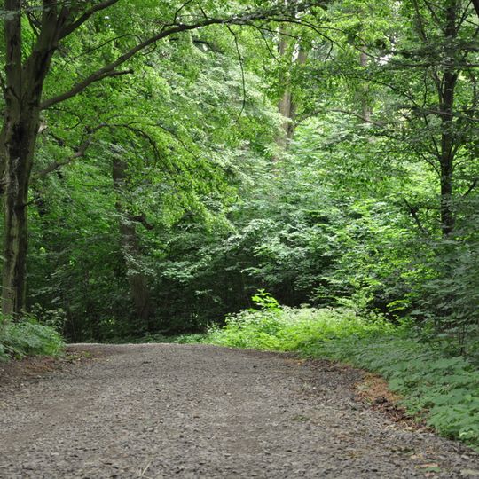 Palace park in Jasieniec Solecki