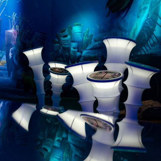 Muséum estonien d'histoire naturelle