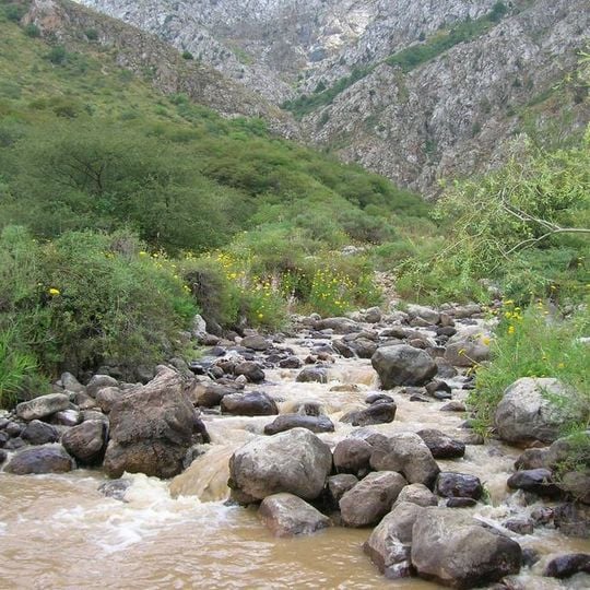 Regione del Turkestan